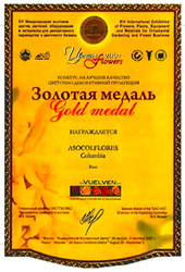 Gold 2007