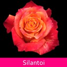 Silantoi