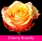 16 Cherry_Brandy