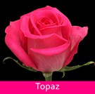 25 Topaz
