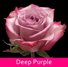 28 Deep_Purple